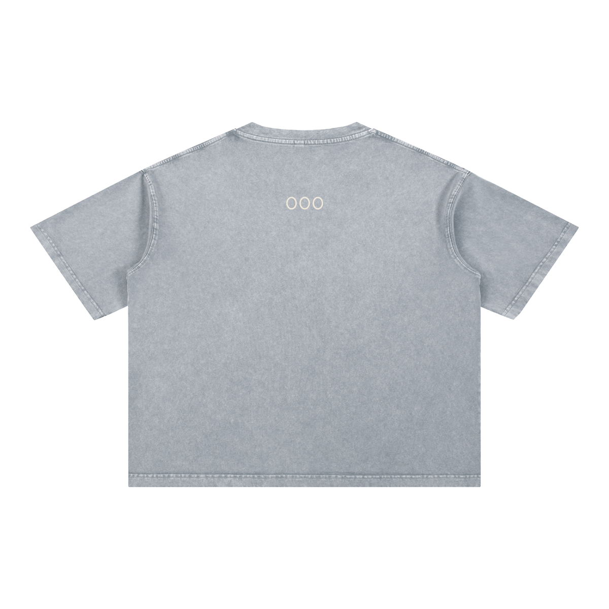Reading Ghost Mineral Wash Boxy Cotton T-Shirt